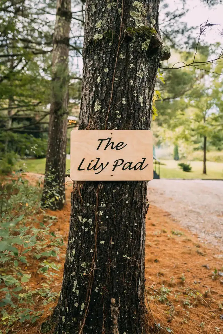 the lily pad
